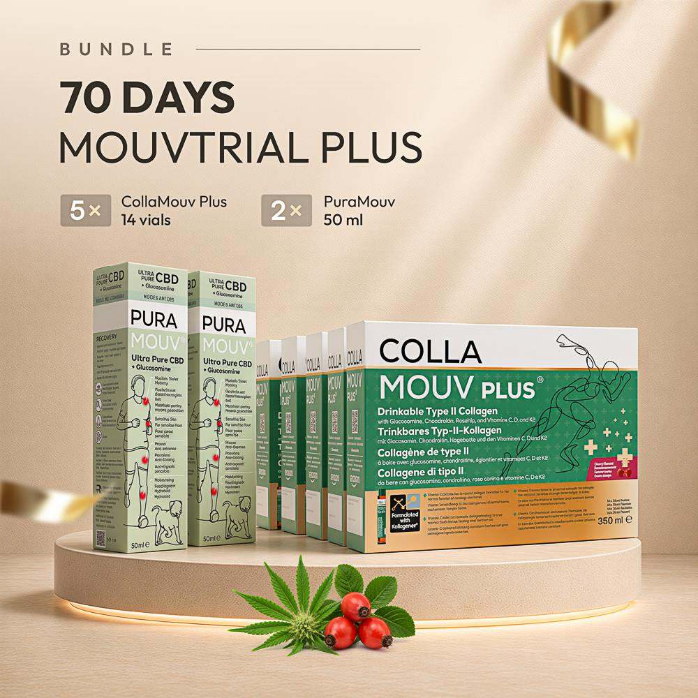 70-Day MouvTrial Plus — visuel officiel du coffret